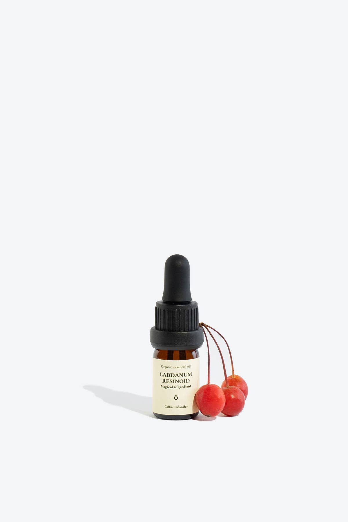 Labdanum Resinoid Essential Oil | Smells Like Spells