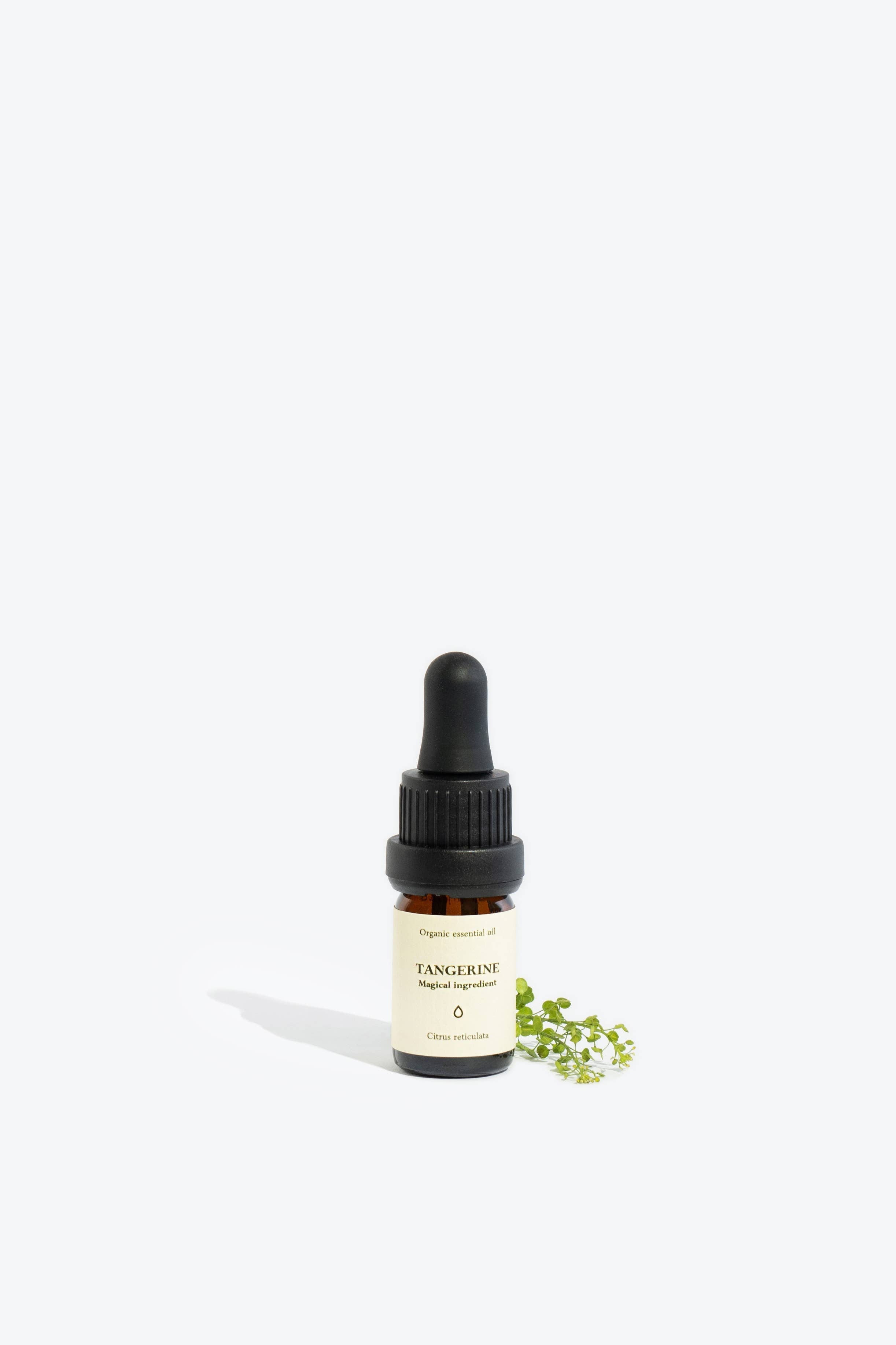 Tangerine Essential Oil | Smells Like Spells