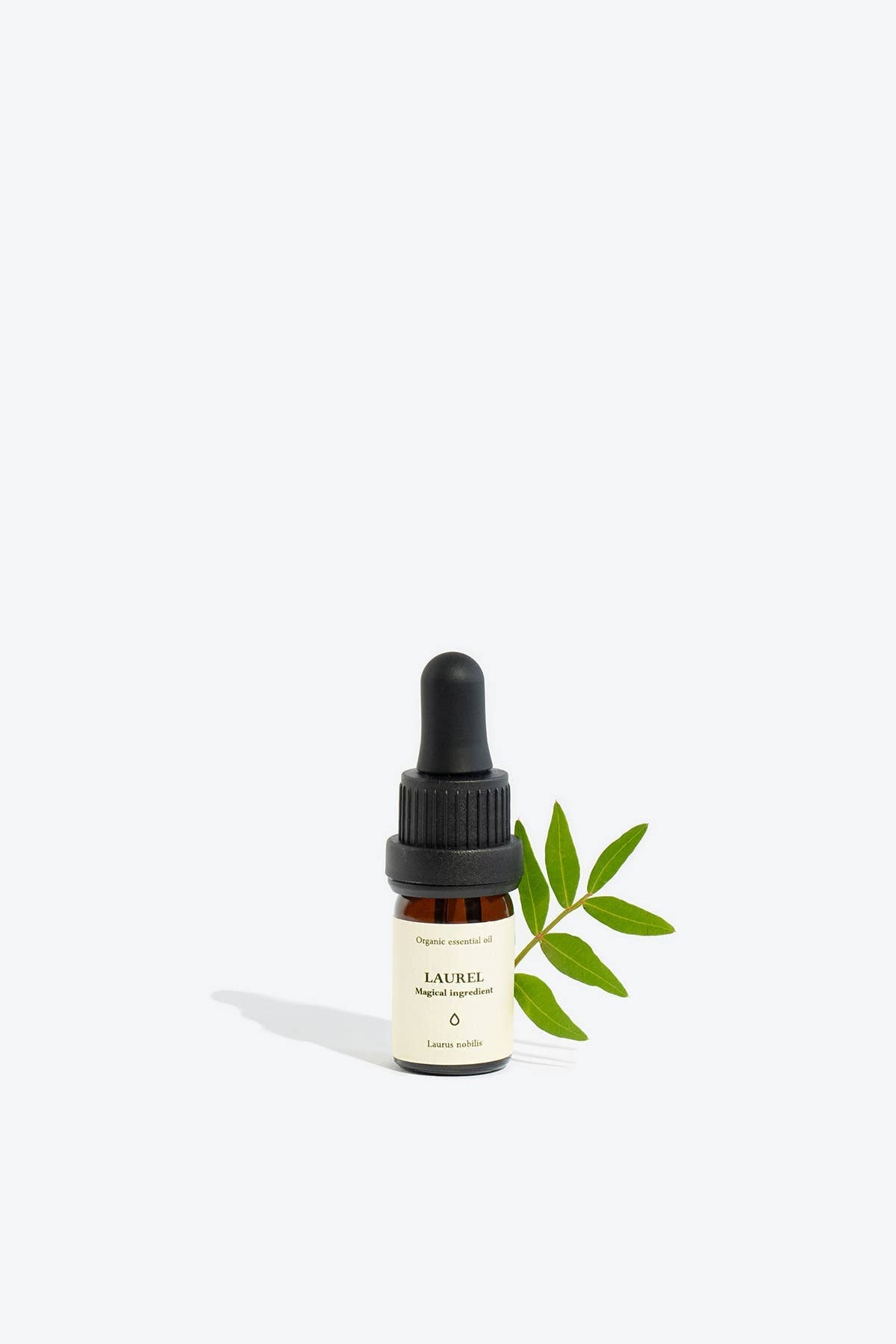 Laurel Essential Oil | Smells Like Spells