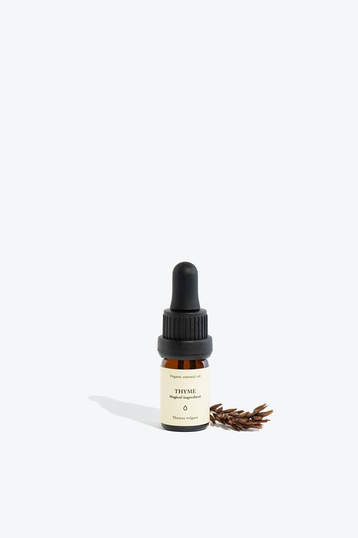 Thyme Essential Oil | Smells Like Spells