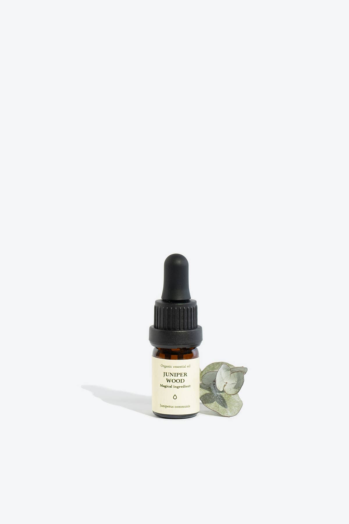 Juniper Wood Essential Oil | Smells Like Spells