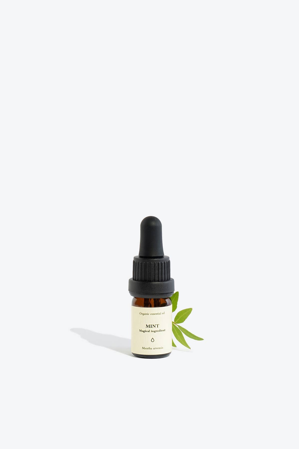 Mint Essential Oil | Smells Like Spells