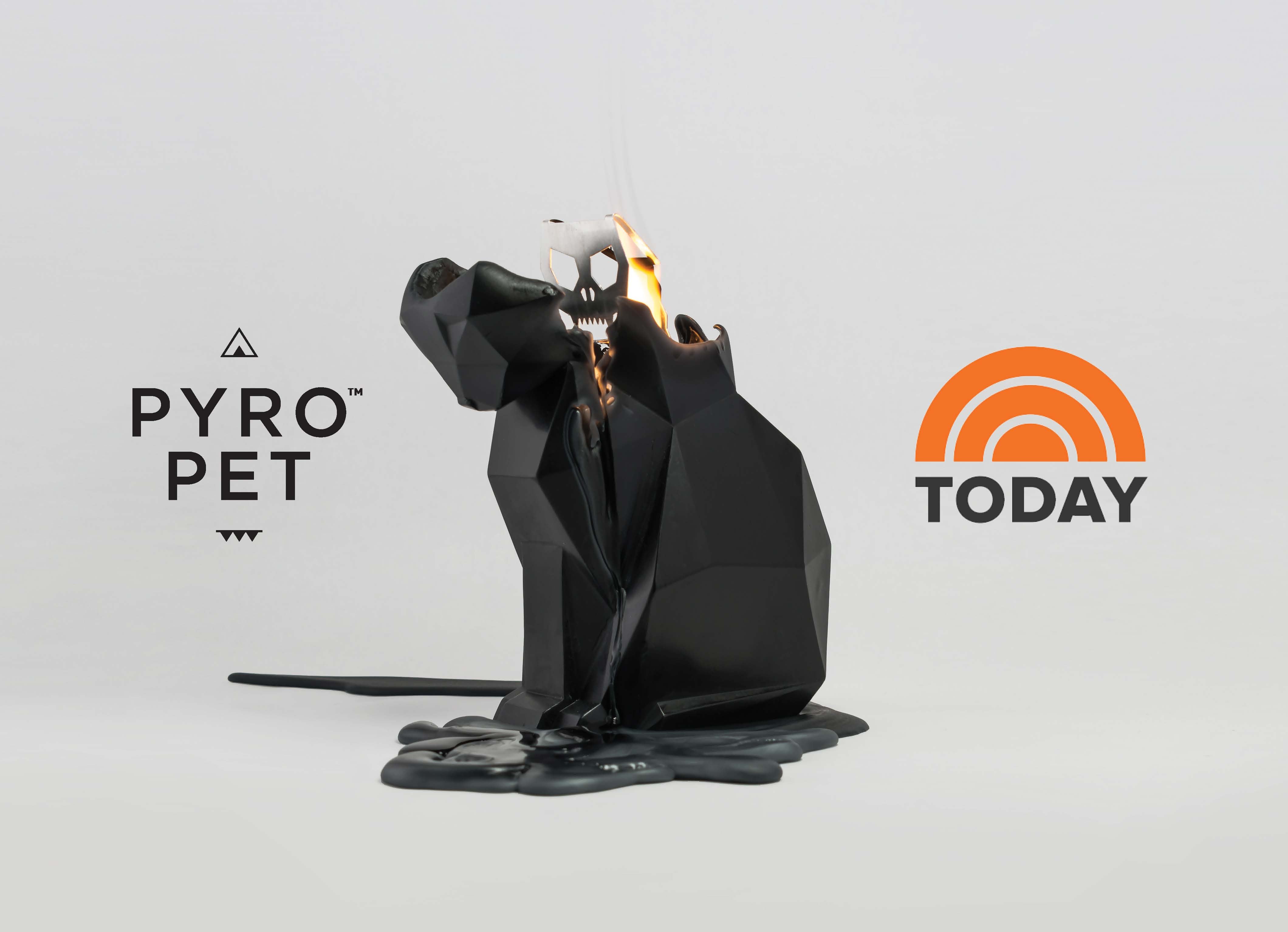 Don't Miss Pyropets on The Today Show 10/13/2017