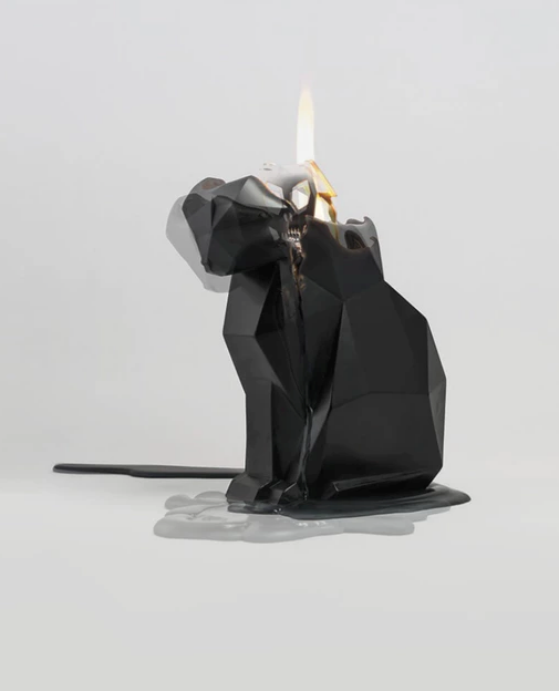 Pyropets featured in Nylon Magazine's "Unwrapped: For The Ultra-Emotional Cat Person In Your Life" Gift Guide