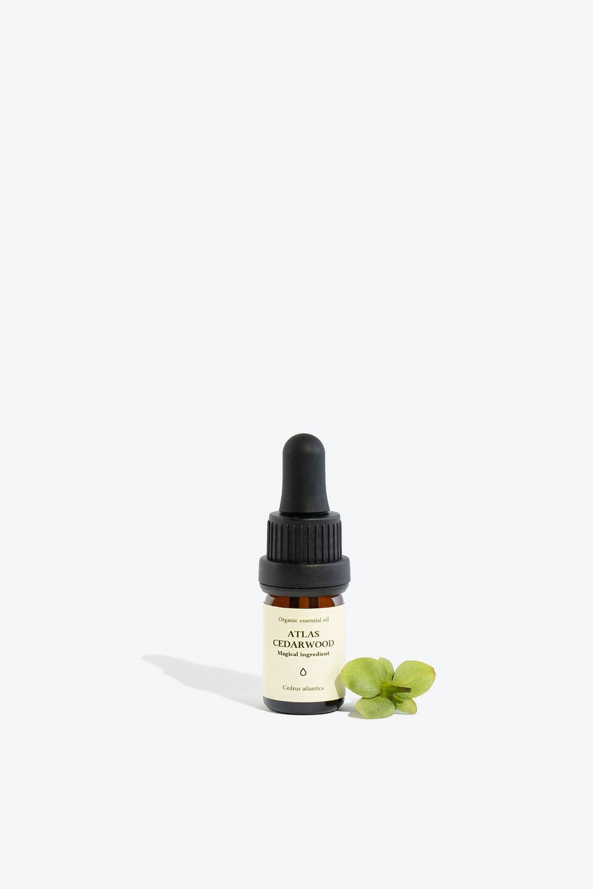 Atlas Cedarwood Essential Oil | Smells Like Spells