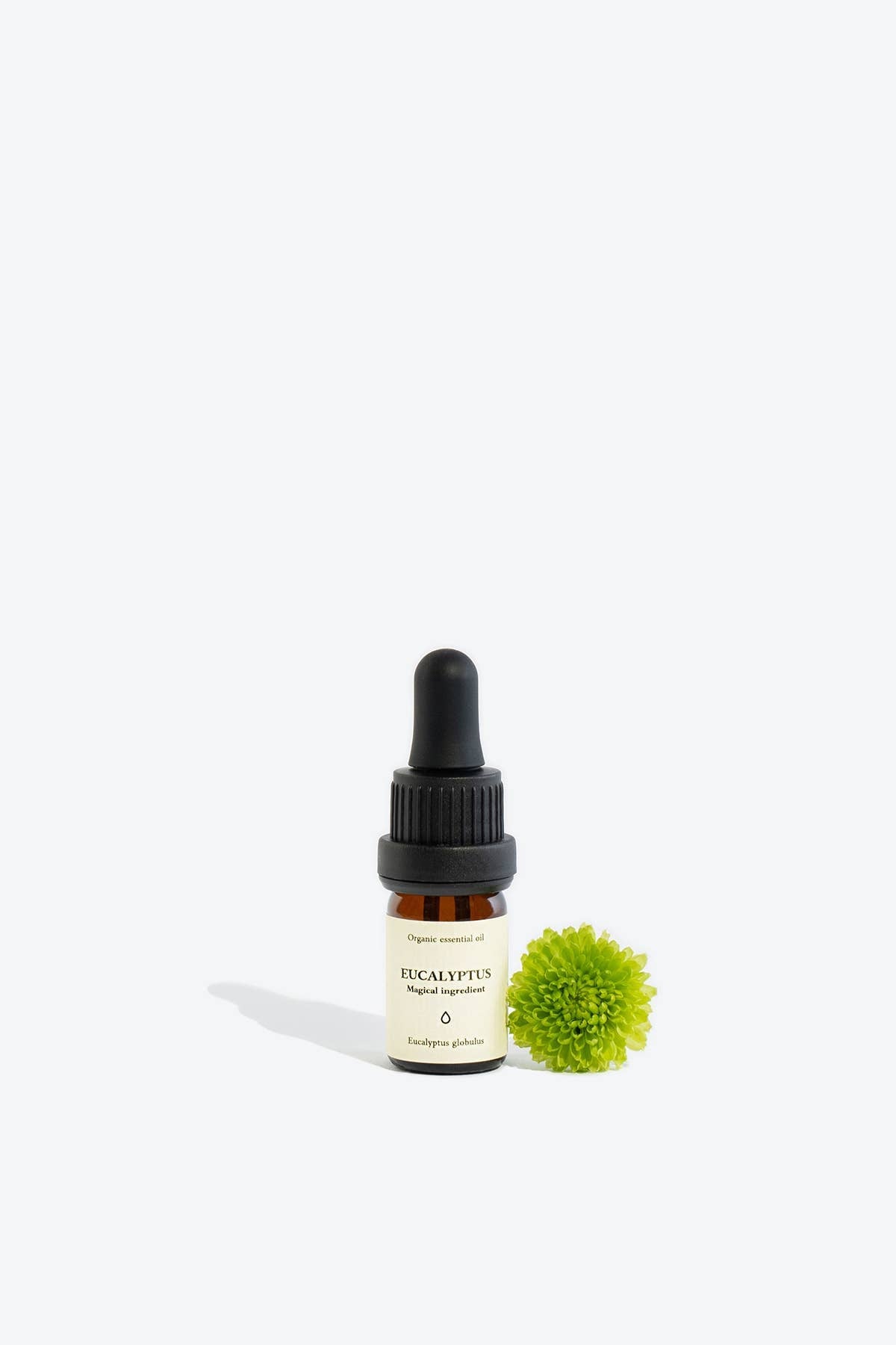 Eucalyptus Essential Oil | Smells Like Spells