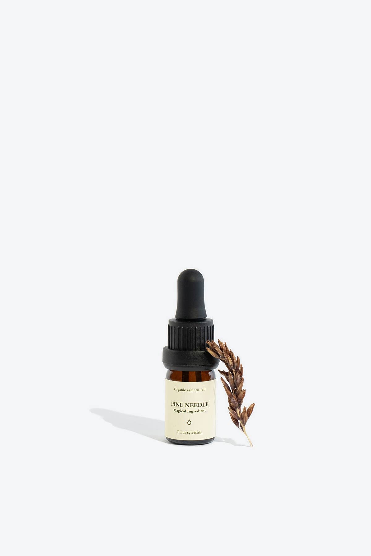 Pine Needle Essential Oil | Smells Like Spells