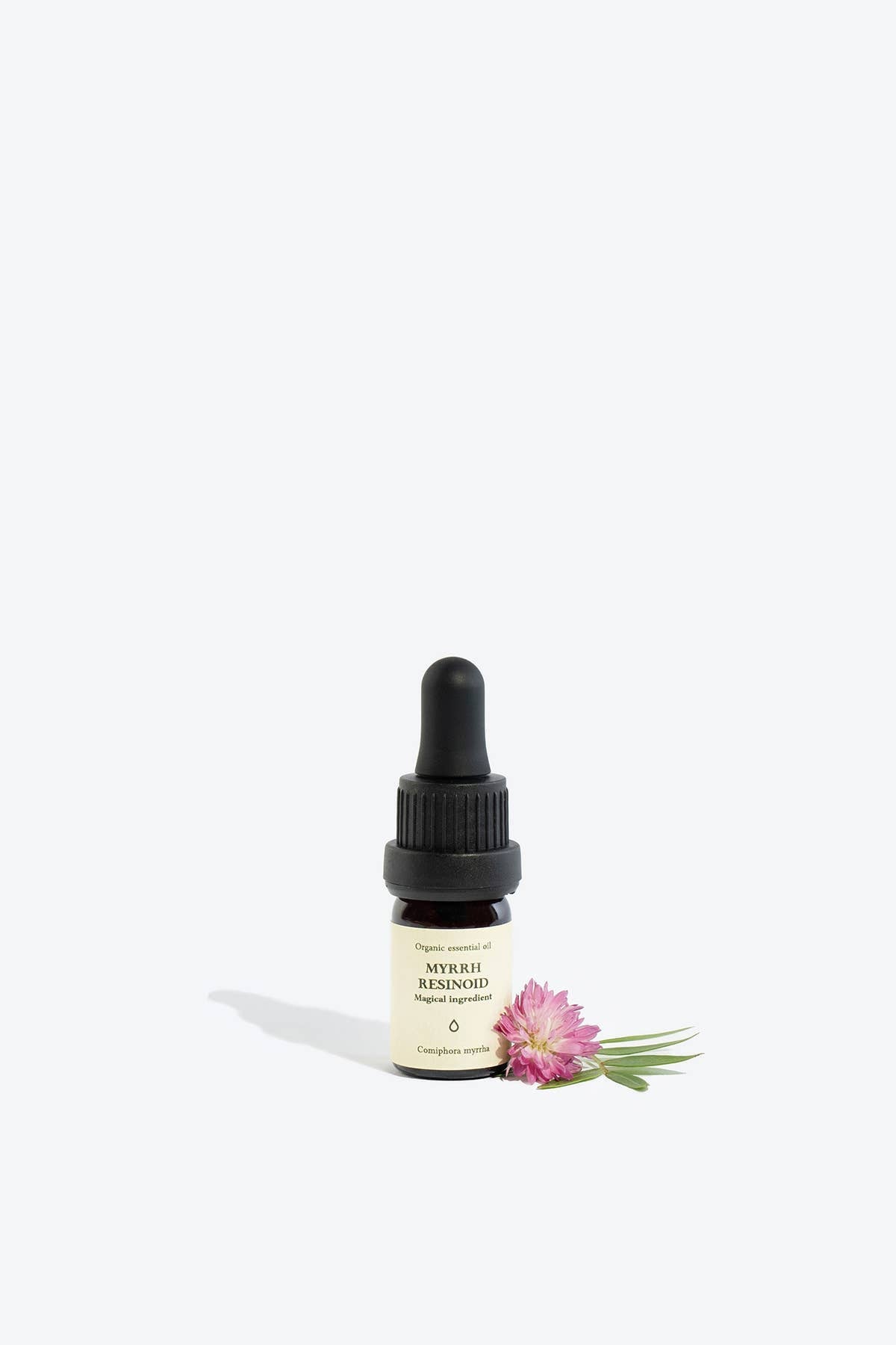 Myrrh Resinoid Essential Oil | Smells Like Spells