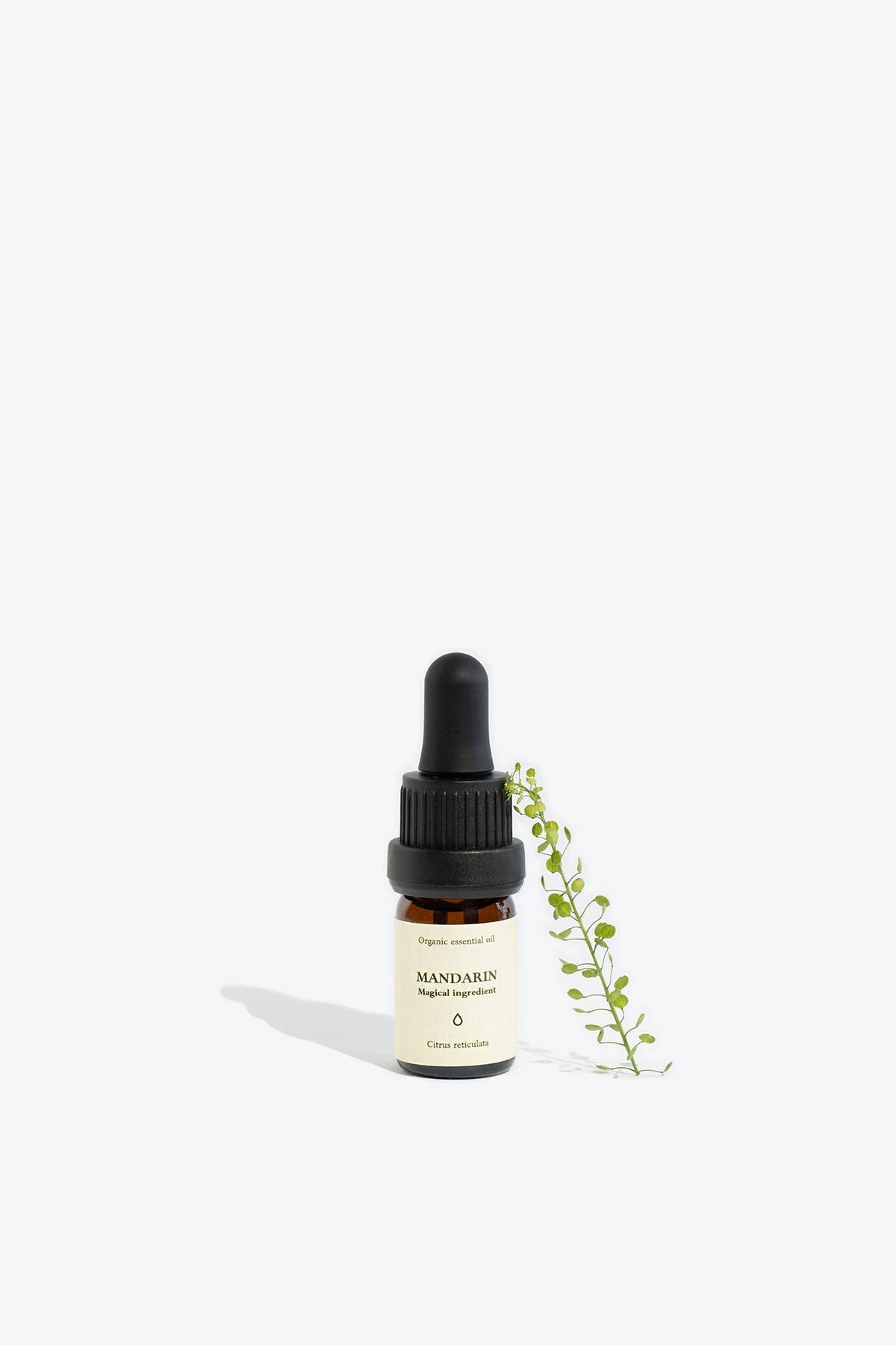 Mandarin Essential Oil | Smells Like Spells