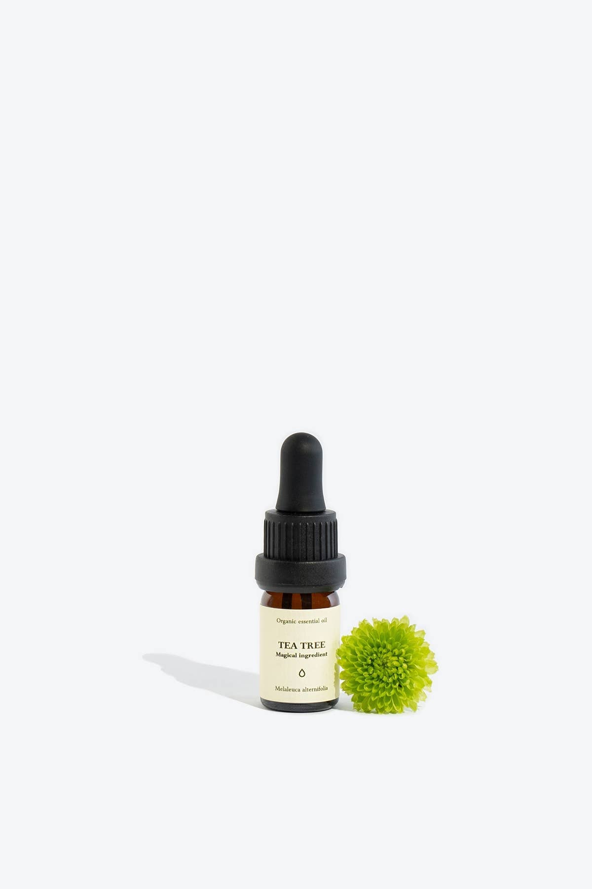 Tea Tree Essential Oil | Smells Like Spells