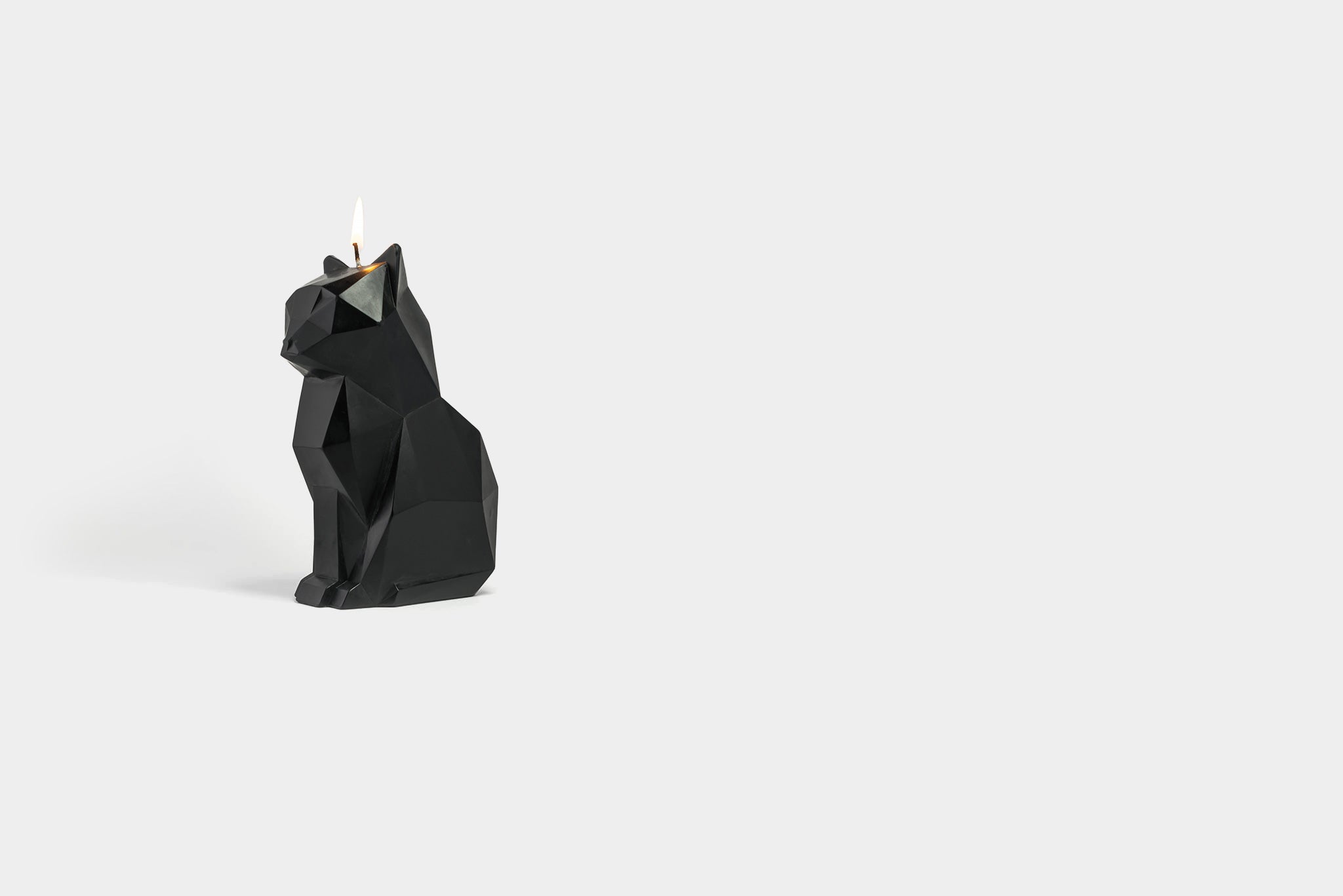 PyroPet Kisa – Bougie squelette de chat – Cadeau pour femme – Décoration de  chambre gothique – Bougies uniques en forme de chat effrayant, noir