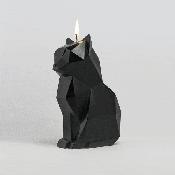 Kisa_Black_f3da7c38-a036-42c7-