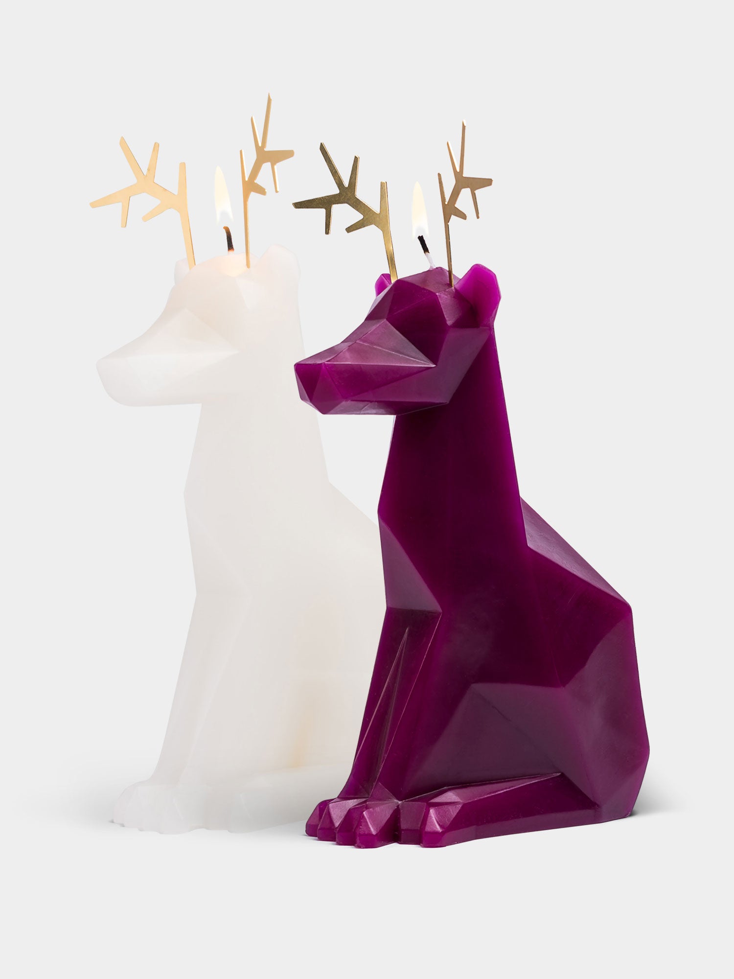 PyroPet Majestic Reindeer Gift Set
