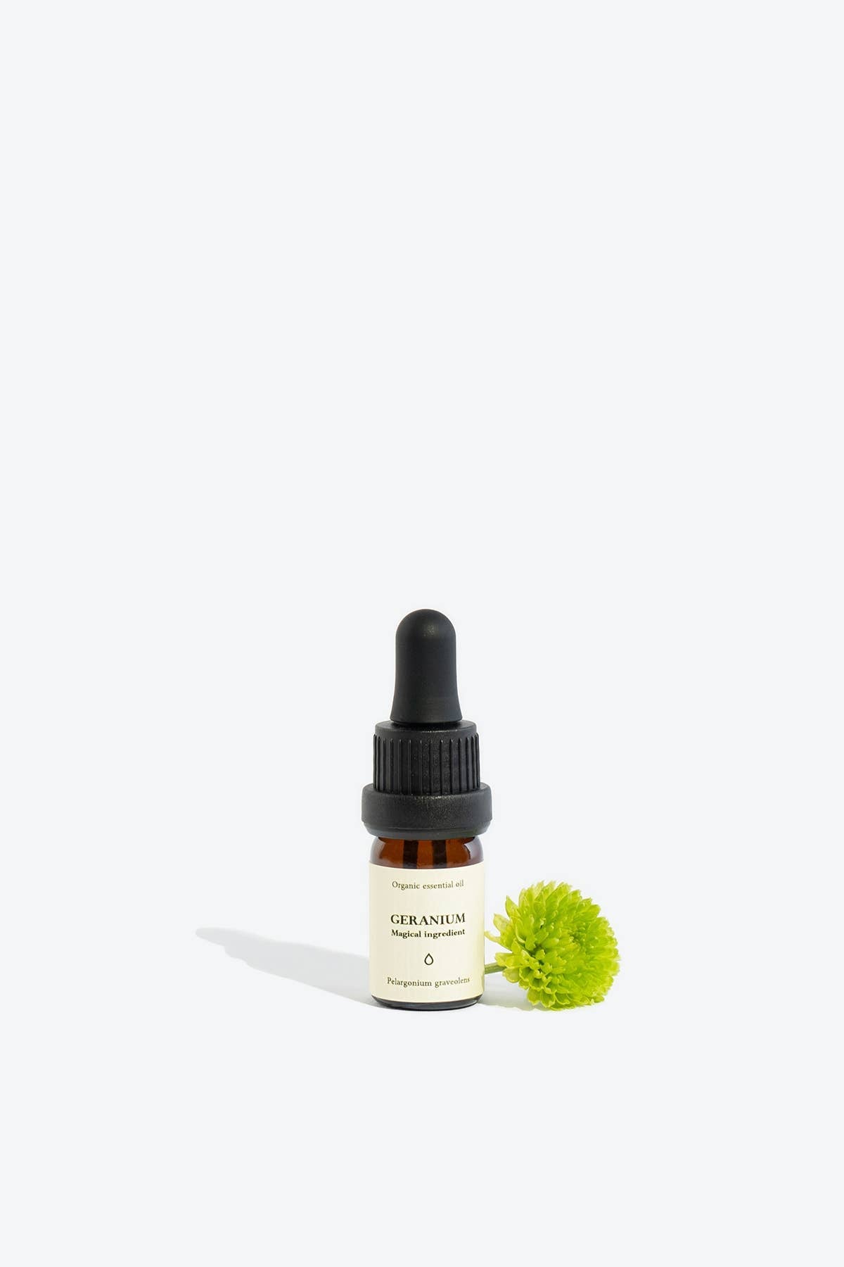 Geranium Essential Oil | Smells Like Spells
