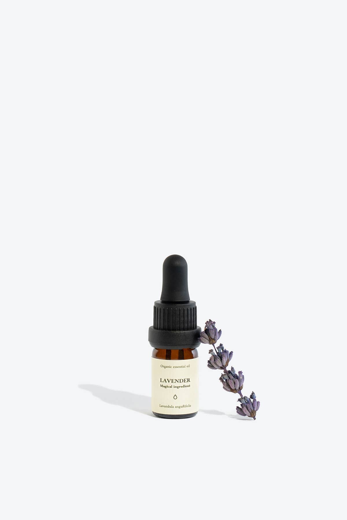 Lavender Essential Oil | Smells Like Spells