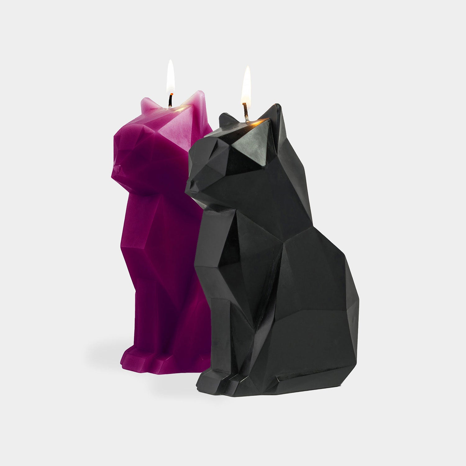 PyroPet Cat Lover Gift Set