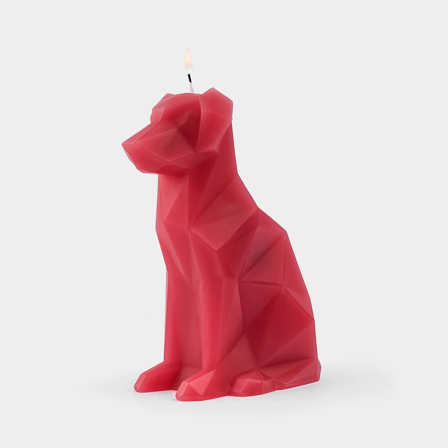 PyroPet Voffi Dog Candle - Berry