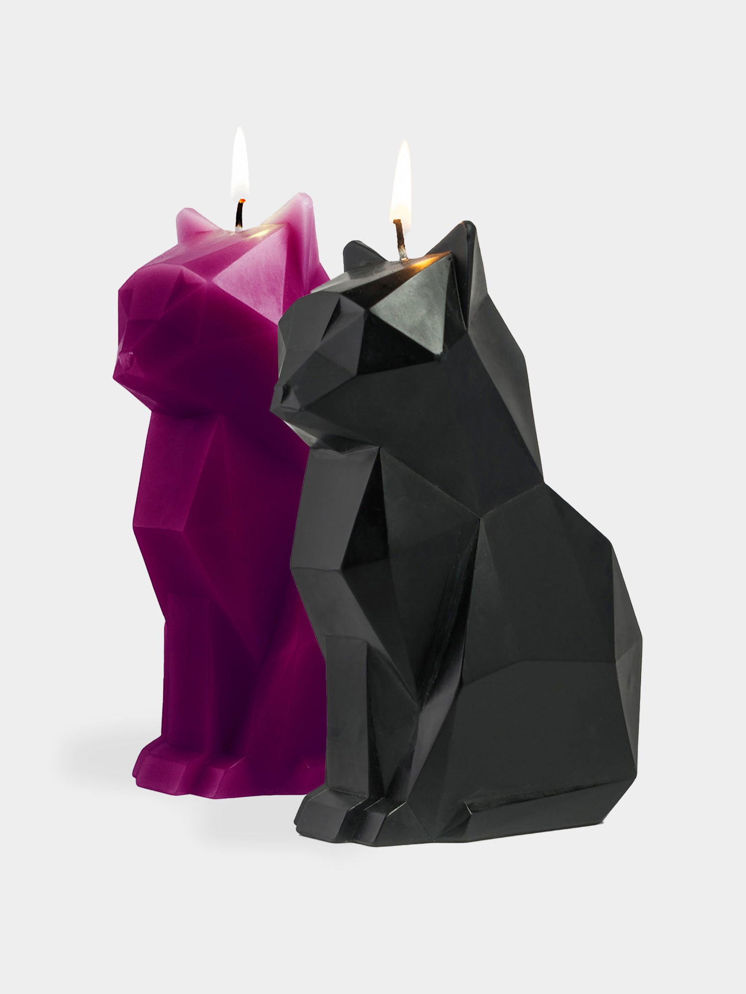 PyroPet Kisa – Bougie squelette de chat – Cadeau pour femme – Décoration de  chambre gothique – Bougies uniques en forme de chat effrayant, noir